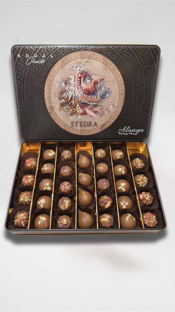 Syedra Kodal Special Karışık Kutu Çikolata 325gr